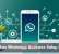 AI Makes WhatsApp Business Setup Easier